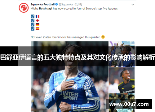 巴舒亚伊语言的五大独特特点及其对文化传承的影响解析 巴舒亚伊语言的五大独特特点及其对文化传承的影响解析